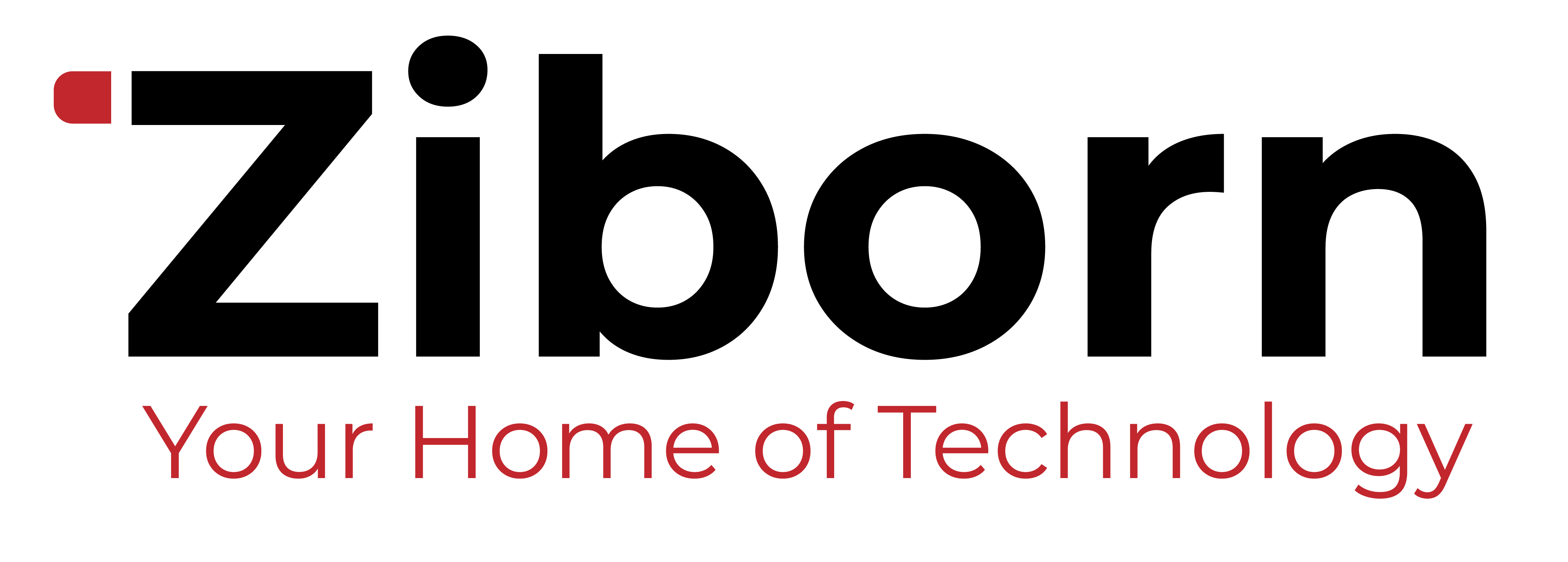 Ziborn AI Logo